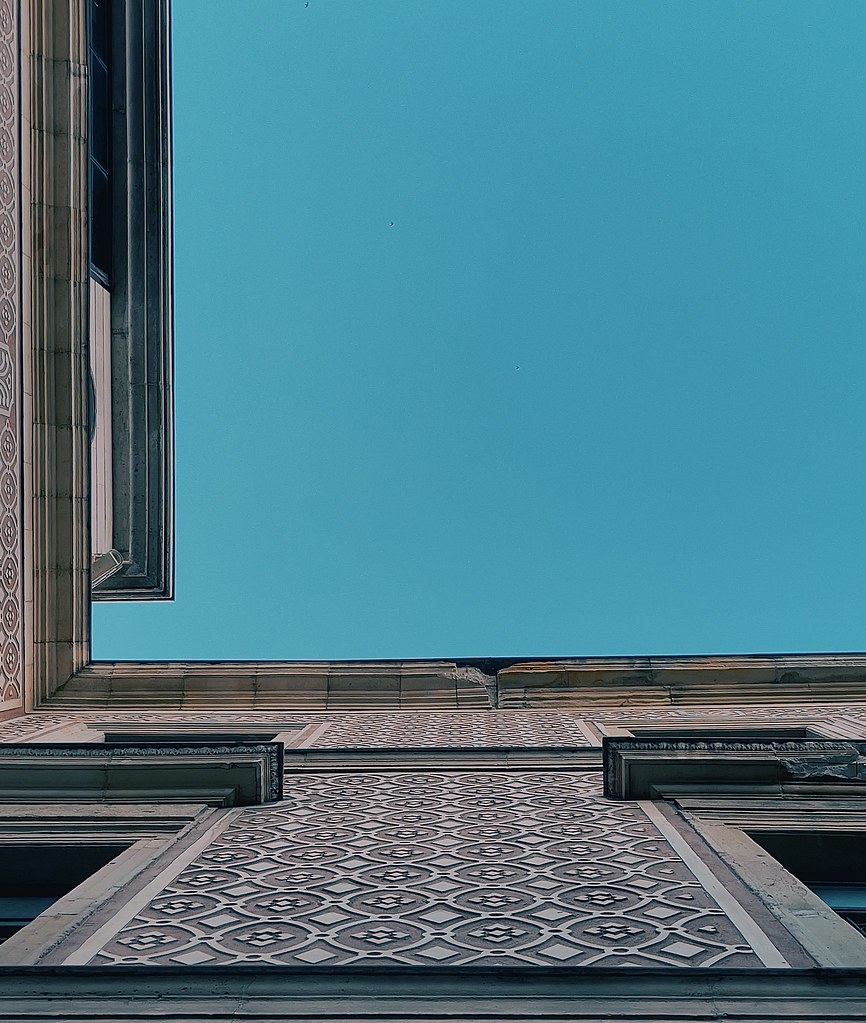 51229585215_212c517a64_b.jpg