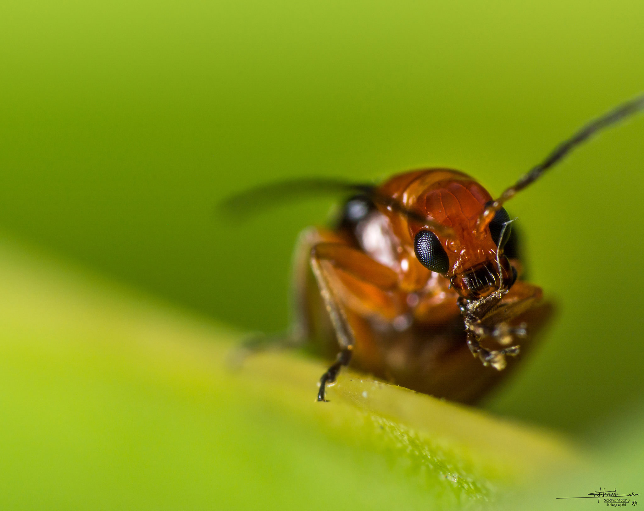 photographylife.com