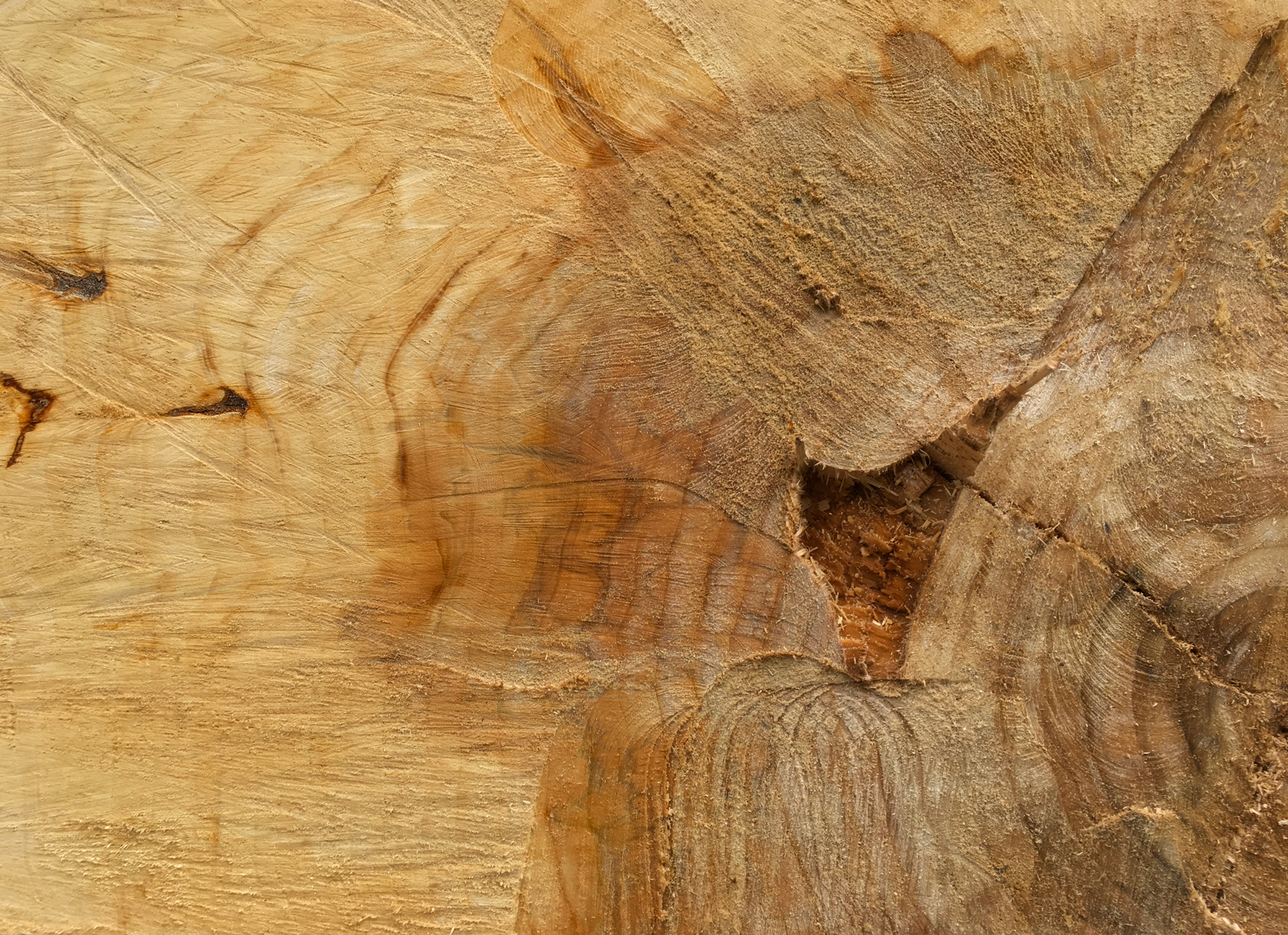 floris-log-texture-macrumors.png