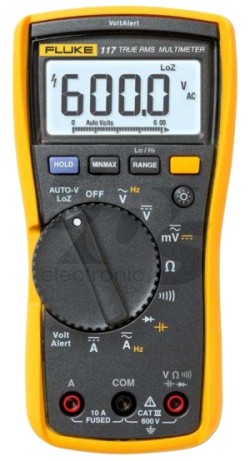 fluke117.jpg