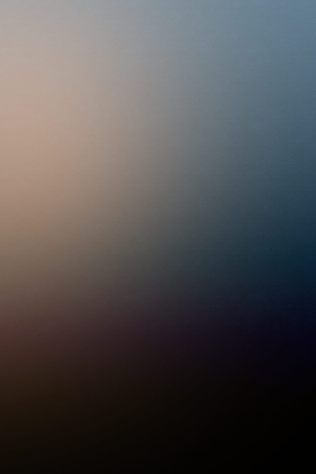29izdj.png
