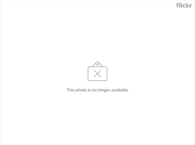 8181132932_1564be1d16_z.jpg