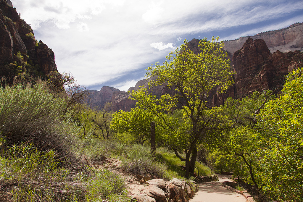 Zion%20weeping%20grotto1024.jpg