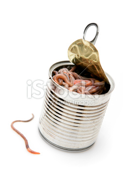 stock-photo-3414598-can-of-worms.jpg