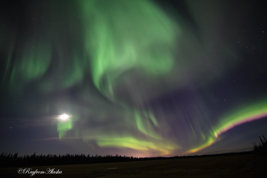 Auroras04-16_0072_zpszfs49vtu.jpg