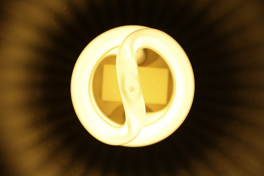 3067306337_ce605bd31e_b.jpg