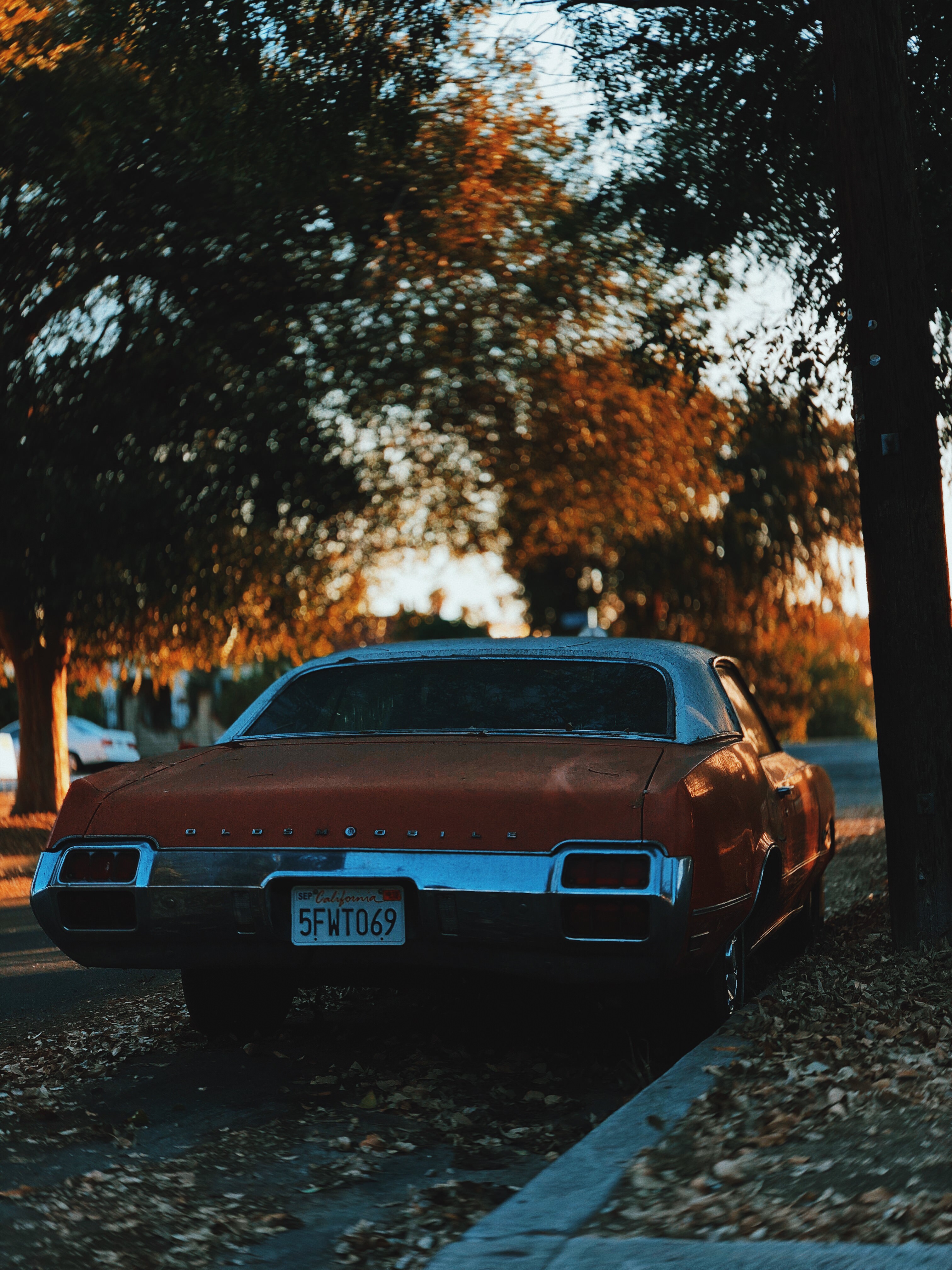 Om1gFCt.jpg
