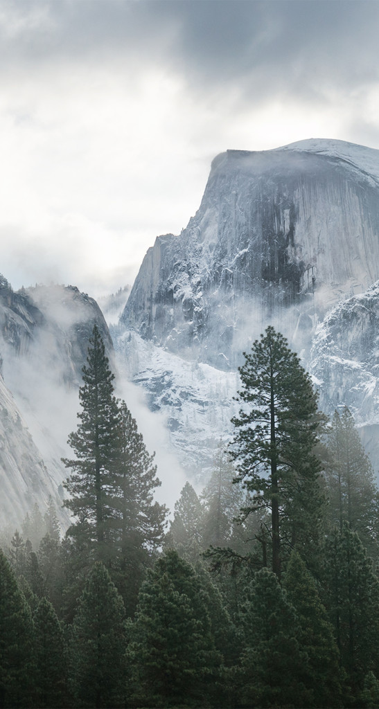 Yosemite-3-547x1024.jpg