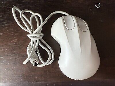 www.ebay.com