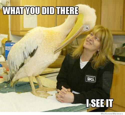 img-2409441-3-what-you-did-there-i-see-it.jpg