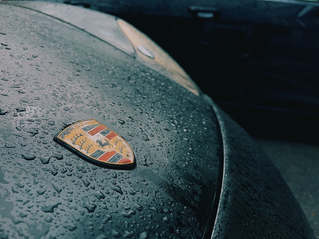 51132927421_3cf0bcd57e_b.jpg