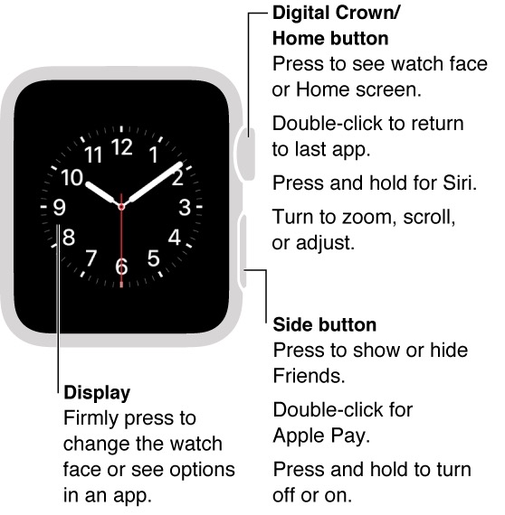 Apple-Watch-Front.jpeg