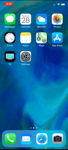 giphy.gif