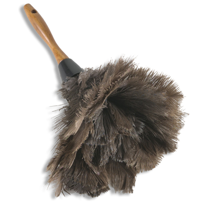 ostrich-feather-duster3.jpg