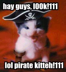 piratekitteh.jpg