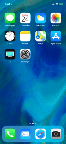 giphy.gif