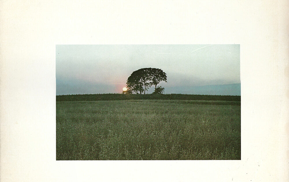 metheny_front-1000x630.jpg