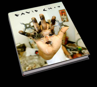 david-choe-book.jpg