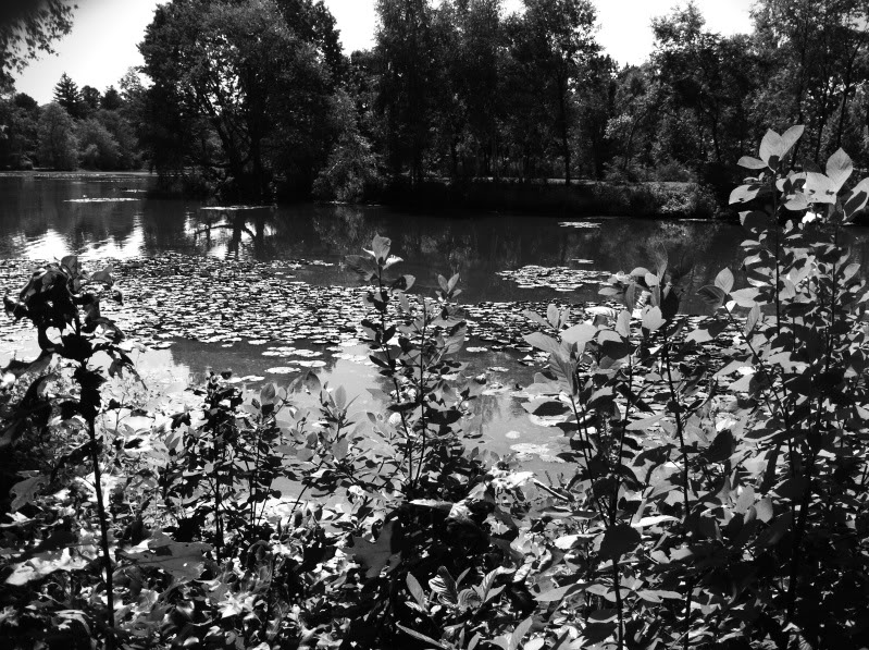 photo5.jpg