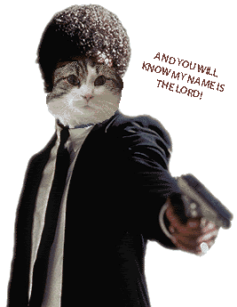 samkitty.gif