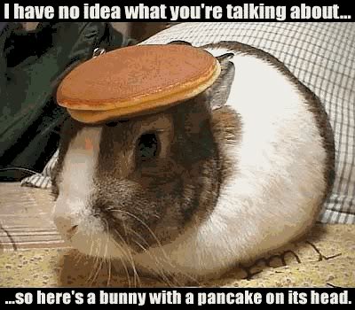 Bunny.jpg