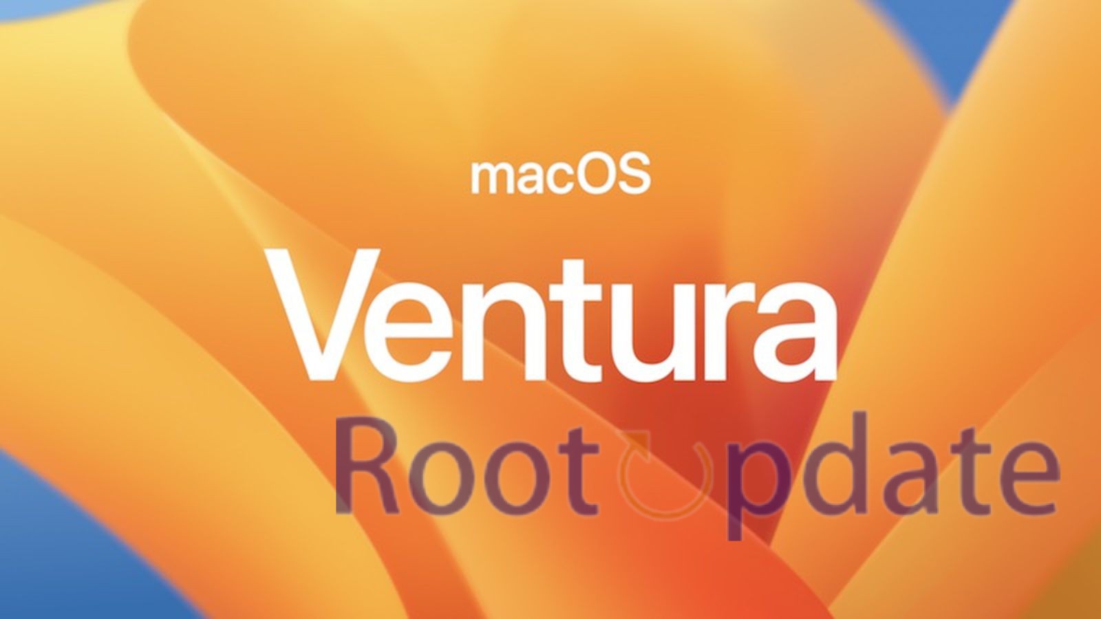 www.rootupdate.com