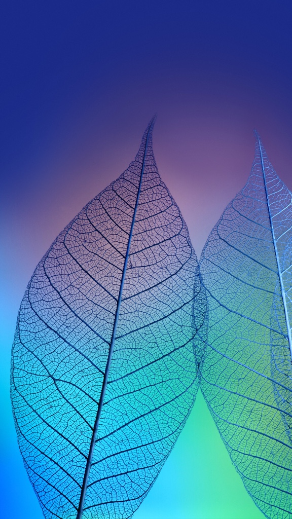 e8c71399fa1d407988253410ebf77fa6.jpg