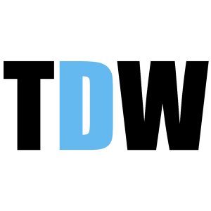 thedigitalwise.com
