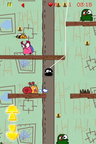spider4.jpg