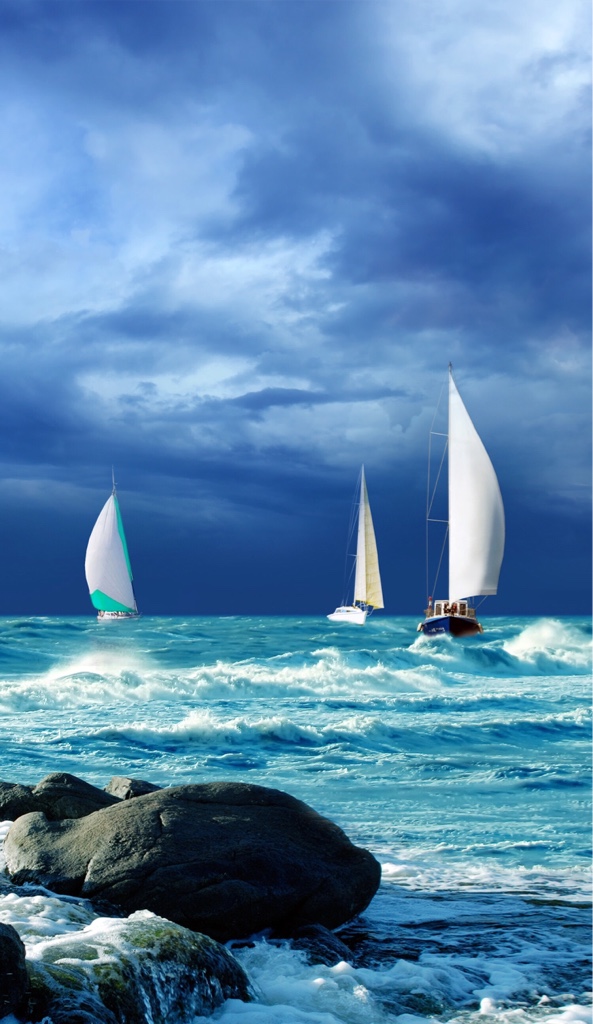 6c63ff5db0c442a6bb5d1ecb3d41a8f6.jpg