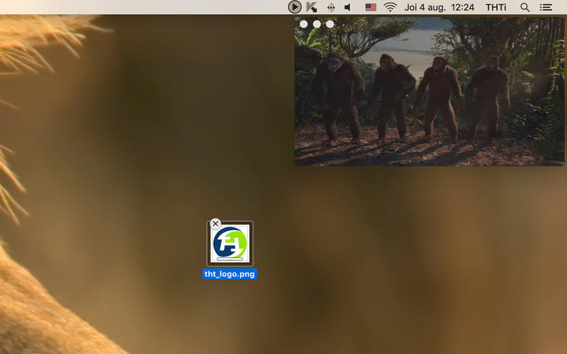 screen800x500.jpeg